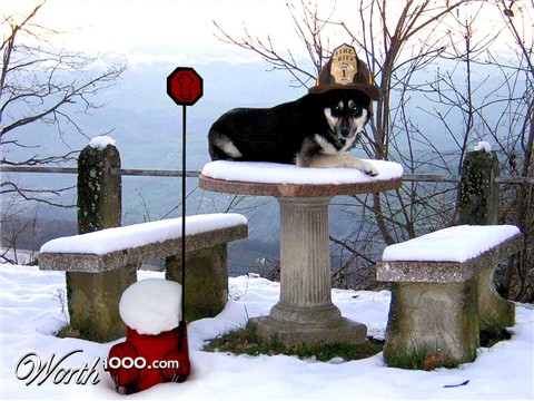 Photoshop Design by Robbyfromitaly