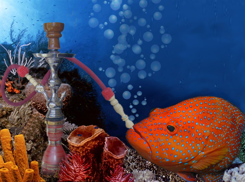 Photoshop Design by lynvdg for DesignCrowd (Community Contests) | Design #8938899