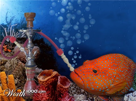 Photoshop Design by lynvdg