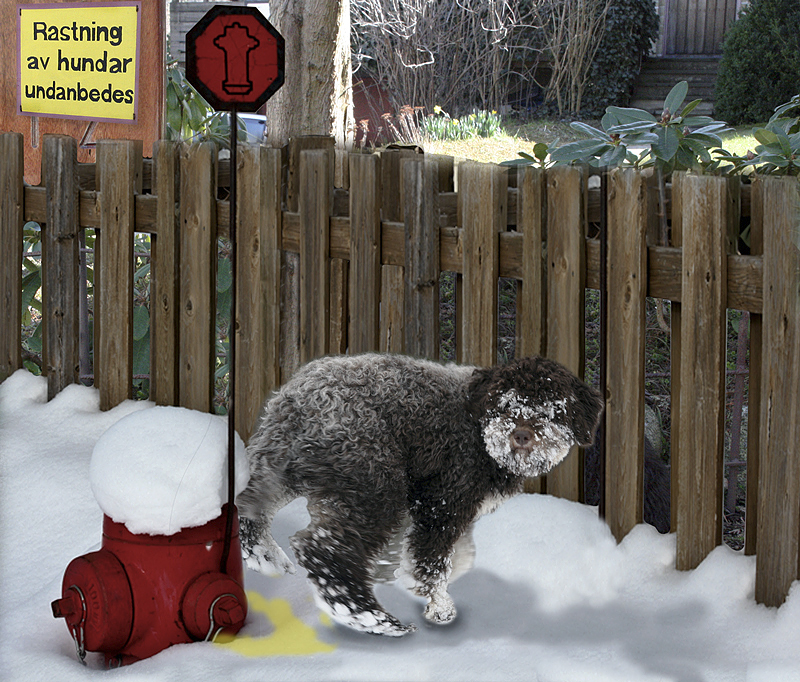 Photoshop Design by Andreitte for DesignCrowd (Community Contests) | Design #8939099