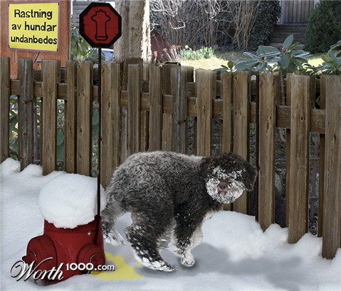 Photoshop Design by Andreitte