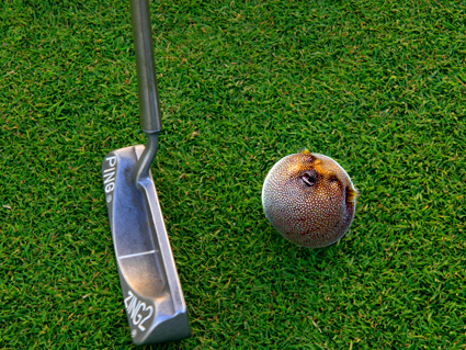 Design Photoshop par johnnyx123 pour DesignCrowd (Community Contests) | Design #8939033