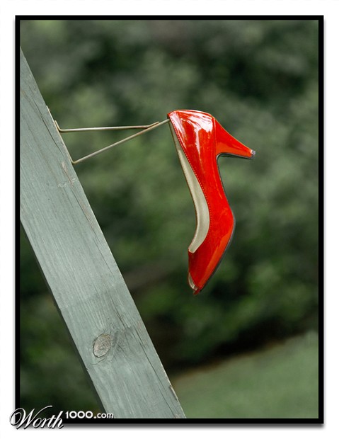 Photography by cridley