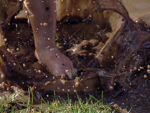 Photographie par tjsmum pour DesignCrowd (Community Contests) | Design #8937972