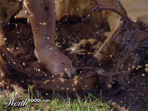 Photography by tjsmum