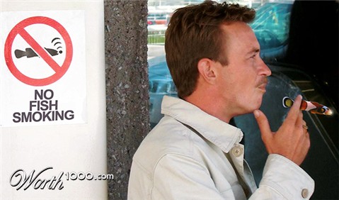 Photoshop Design by FuzzyDuck