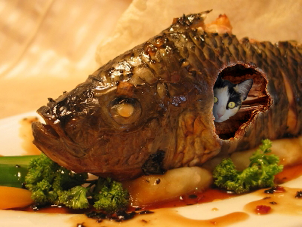 Diseño de Photoshop por taac76 para DesignCrowd (Community Contests) | Diseño #8939020