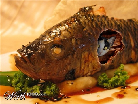 Photoshop Design by taac76