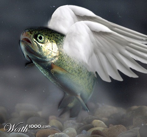 Photoshop Design by Garath531