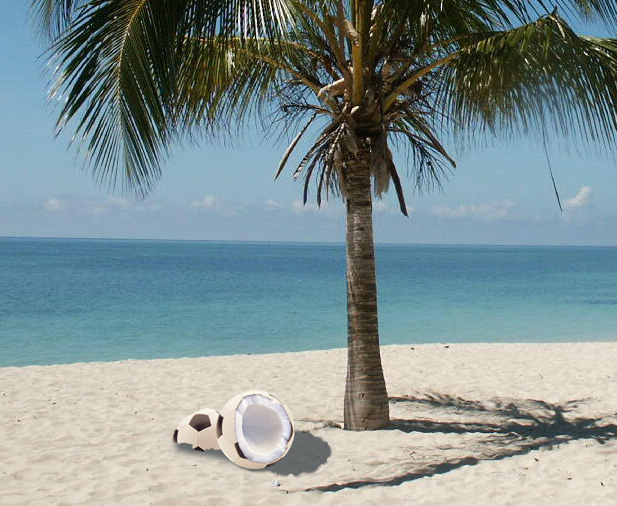 Photoshop Design by nosgigu for DesignCrowd (Community Contests) | Design #8940043