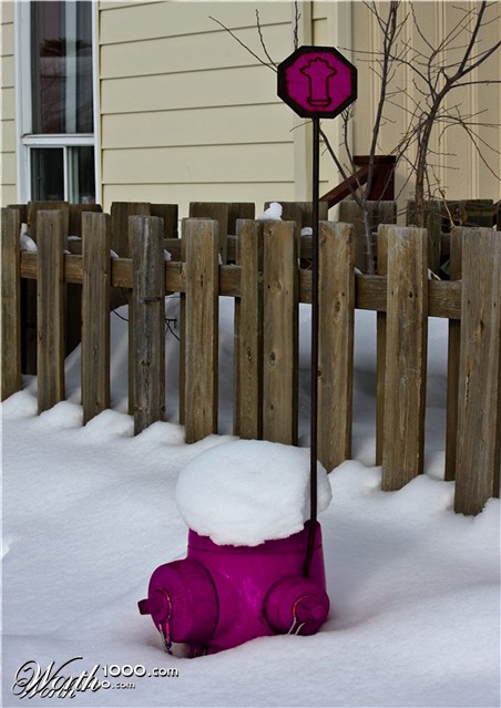 Photoshop Design by fishy69