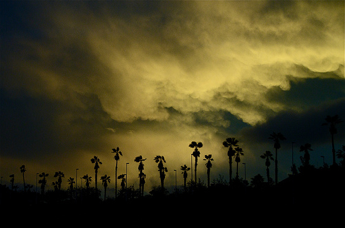 Fotografie von door101 für DesignCrowd (Community Contests) | Design #8936909