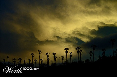 Photography by door101