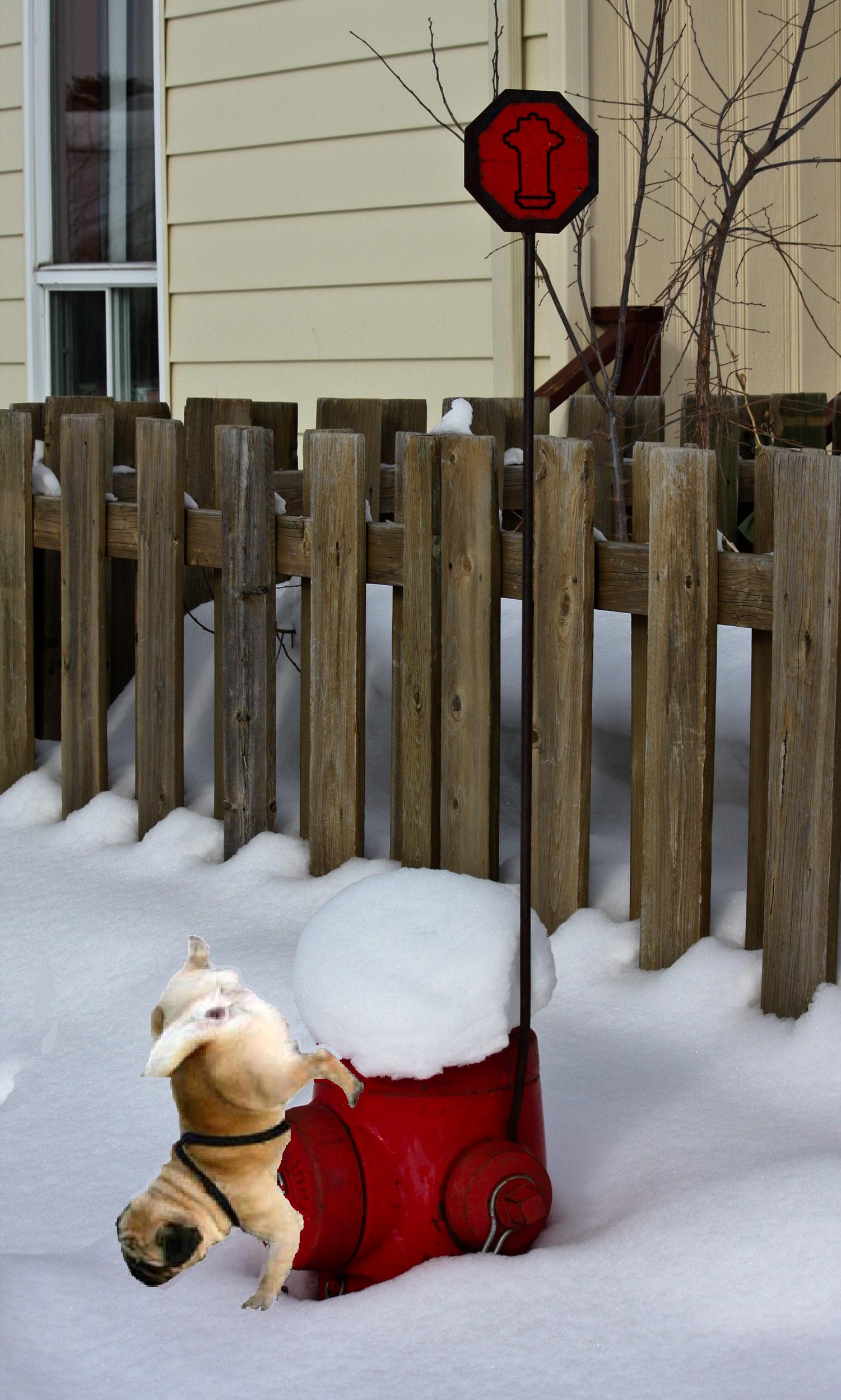 Photoshop-Design von DrakenGard für DesignCrowd (Community Contests) | Design #8939170