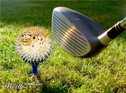 Photoshop Design by killrbeaver