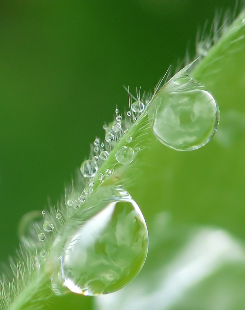Photographie par Visuweel pour DesignCrowd (Community Contests) | Design #8936563