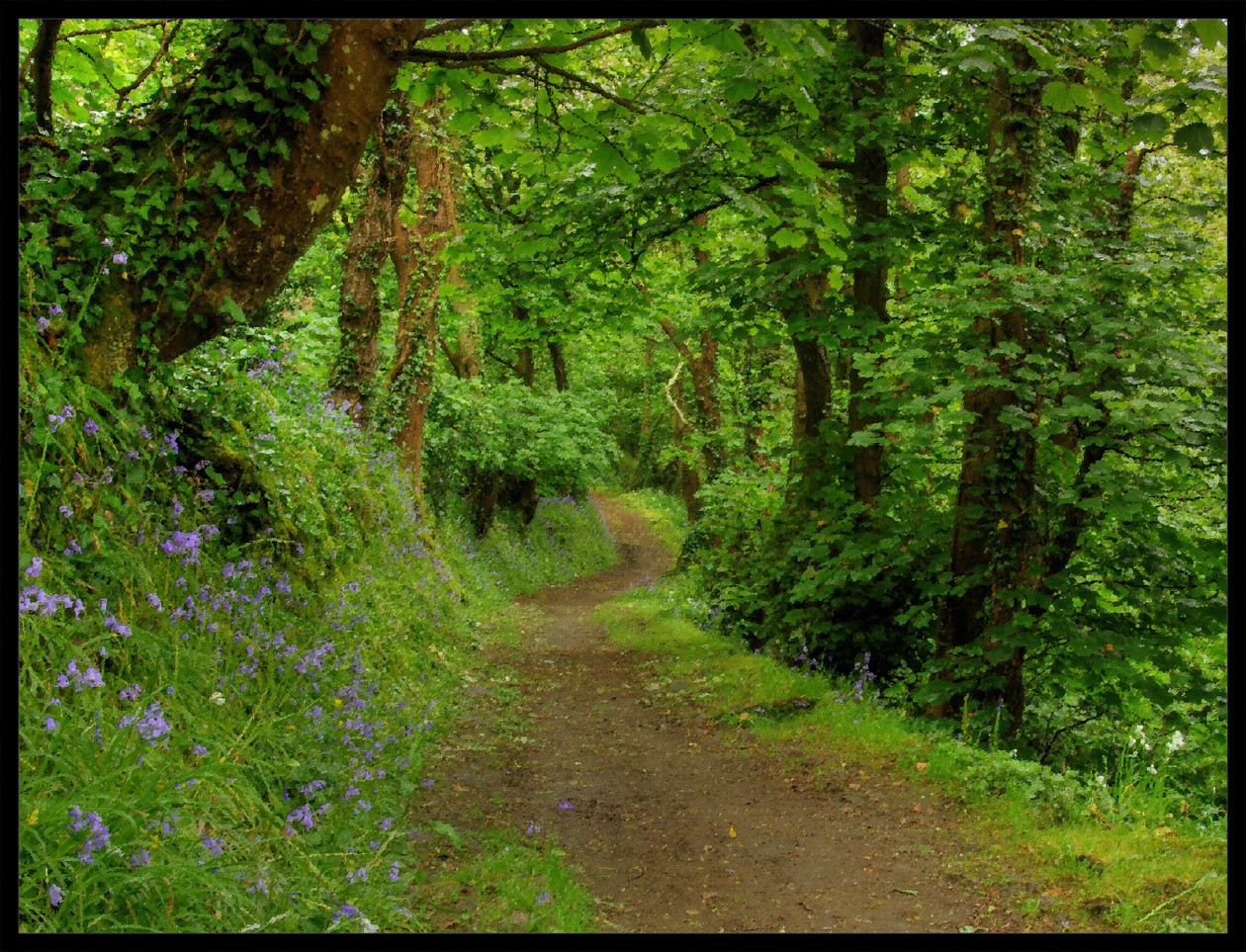 Photography by paulf1970 for DesignCrowd (Community Contests) | Design #8936959