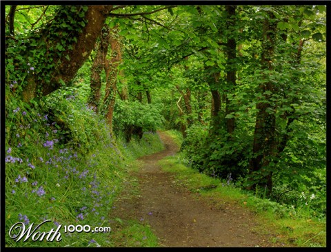 Photography by paulf1970