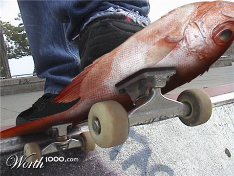 Photoshop Design by sunny2Day