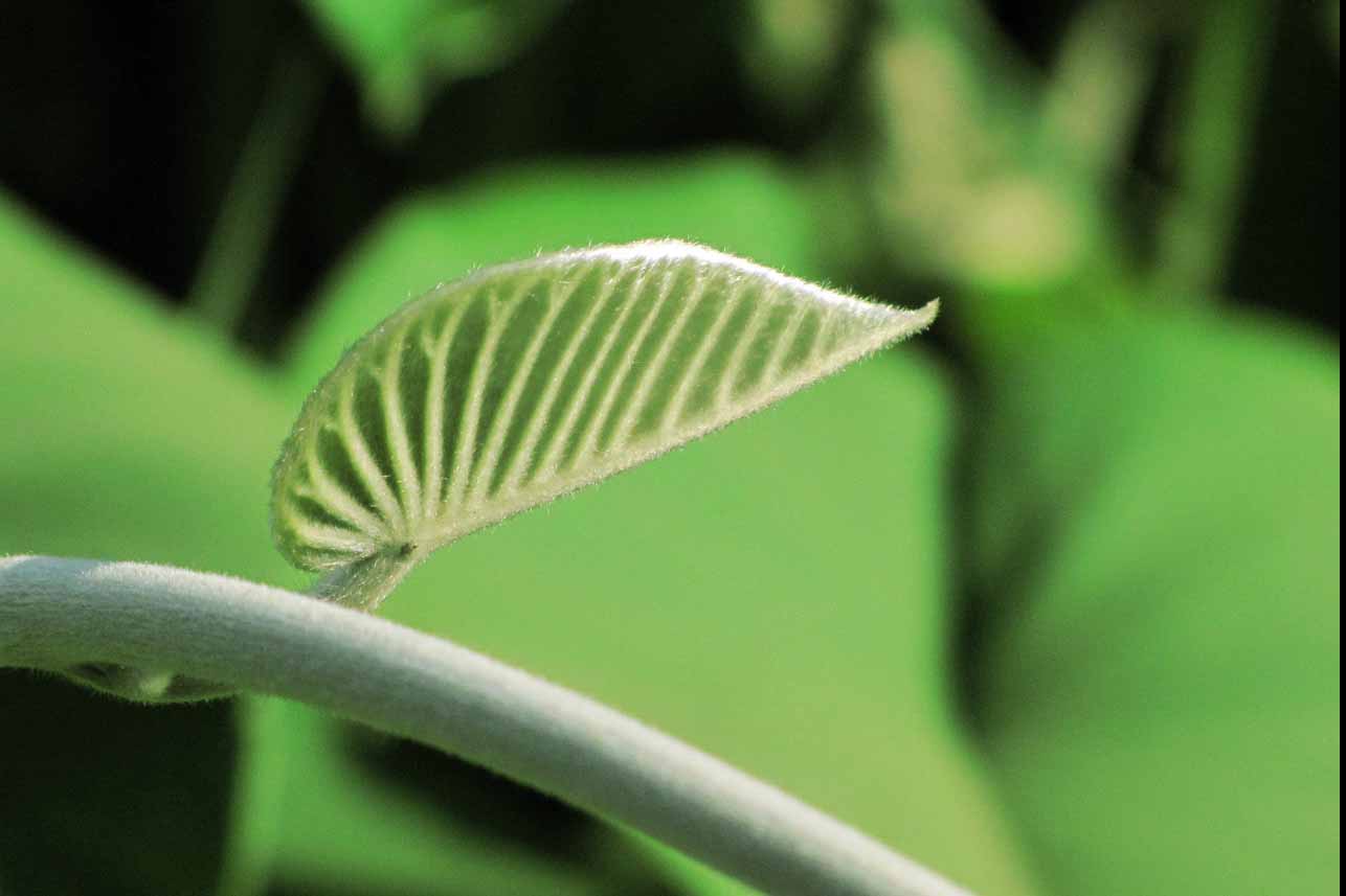 Photography by shraddhas for DesignCrowd (Community Contests) | Design #8936568