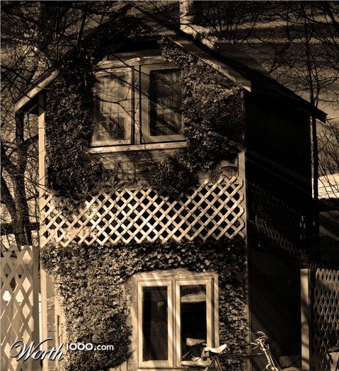 Photoshop Design by thibaultt