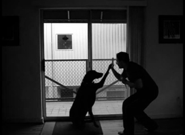 Photography by evitigre for DesignCrowd (Community Contests) | Design #8935321