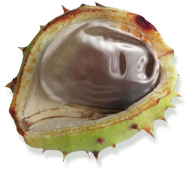 Photoshop-Design von Qofcheez für DesignCrowd (Community Contests) | Design #8937948