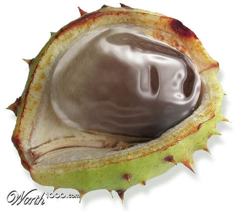 Photoshop Design by Qofcheez