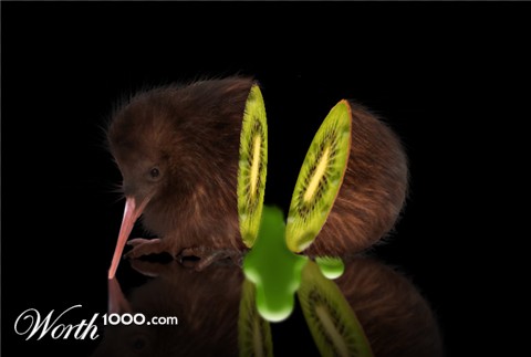 Photoshop Design by navashree