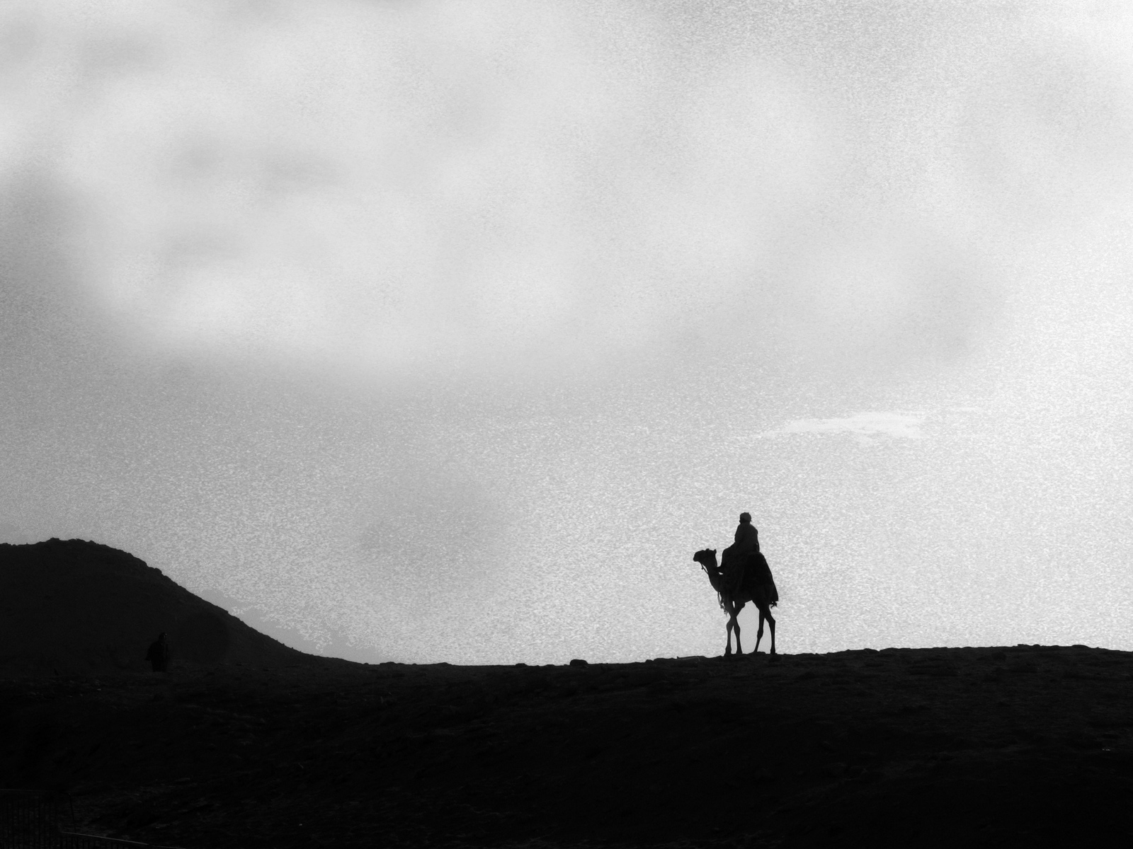 Photography by simonsperling for DesignCrowd (Community Contests) | Design #8935327