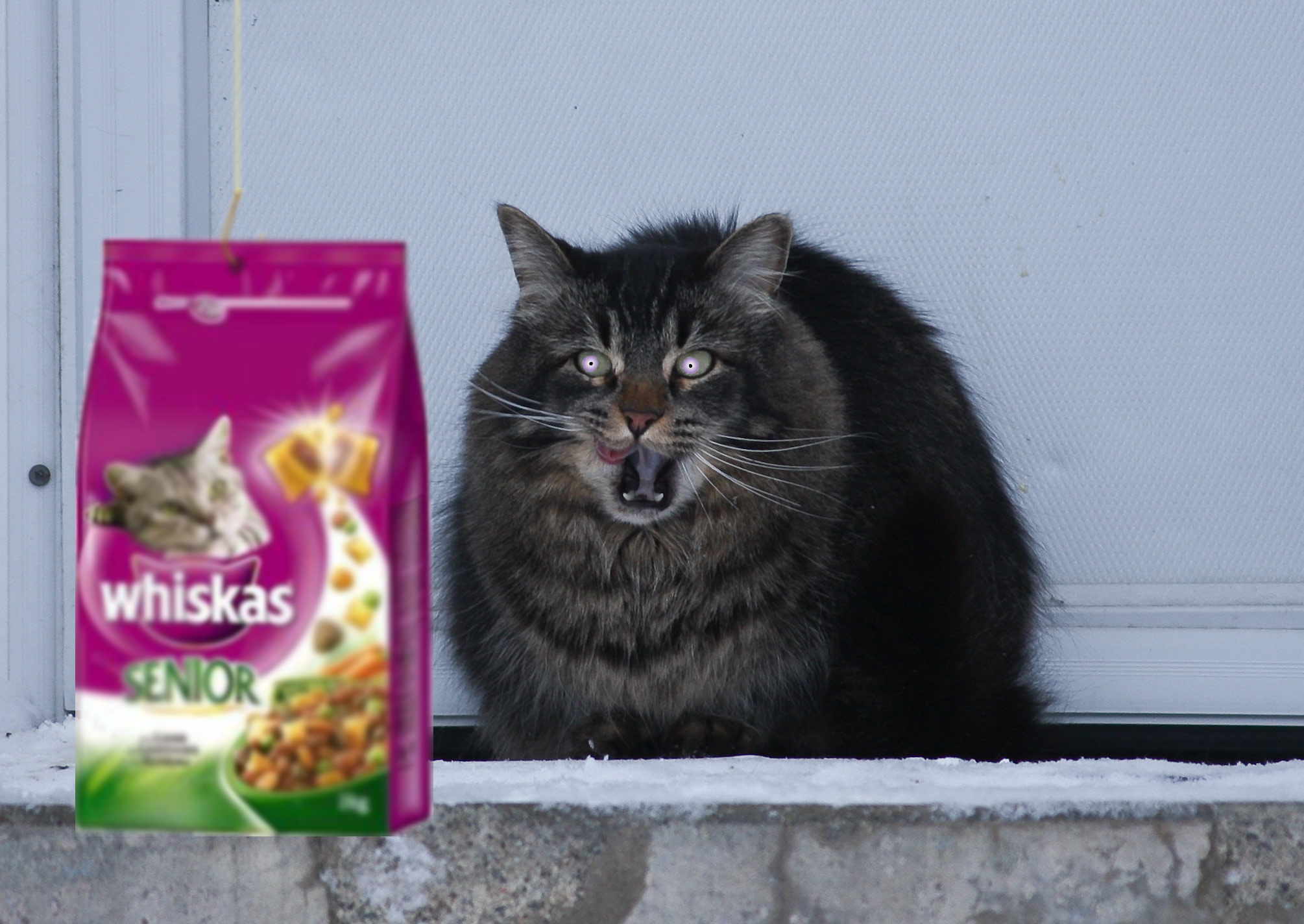 Design Photoshop par xzanth pour DesignCrowd (Community Contests) | Design #8936518