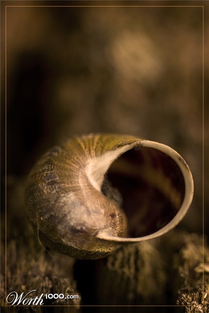 Photography by Marian