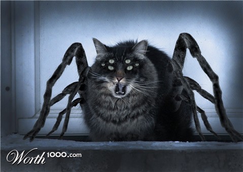 Photoshop Design by taac76