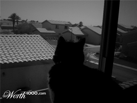 Photography by feeltheride
