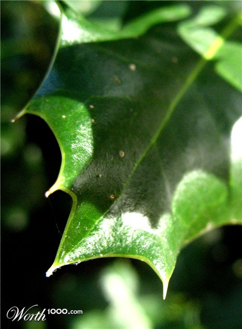 Photography by annaalicja