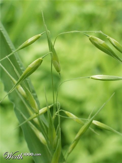 Photography by cassanhorse