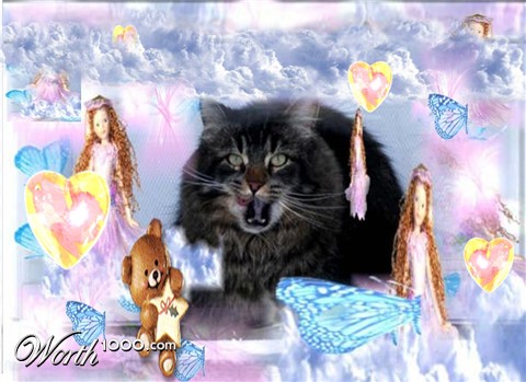 Photoshop Design by toadyy