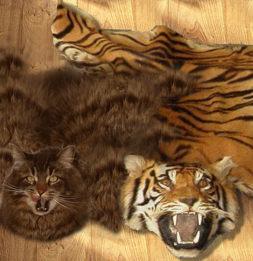 Photoshop Design by pacooo for DesignCrowd (Community Contests) | Design #8936562