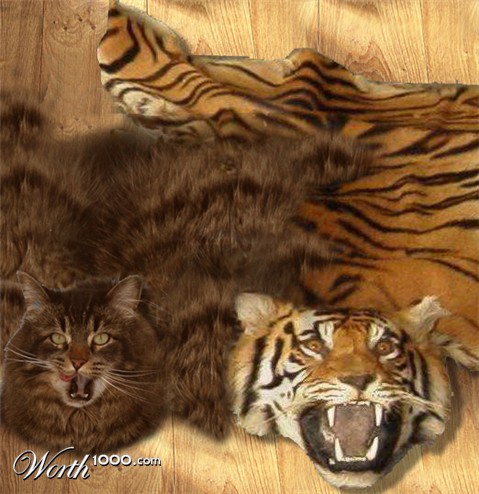 Photoshop Design by pacooo