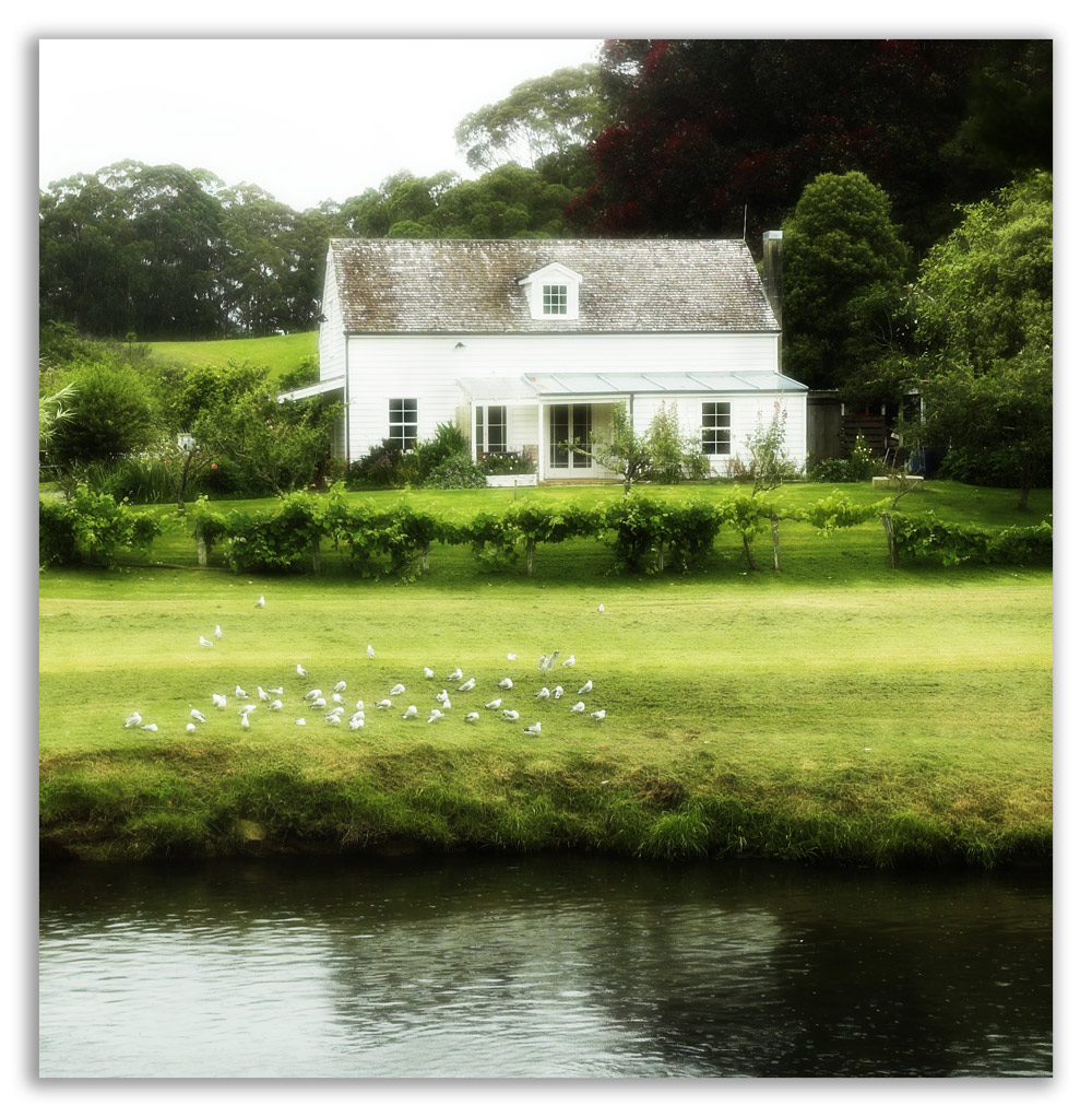 Photographie par kimbomac pour DesignCrowd (Community Contests) | Design #8936997