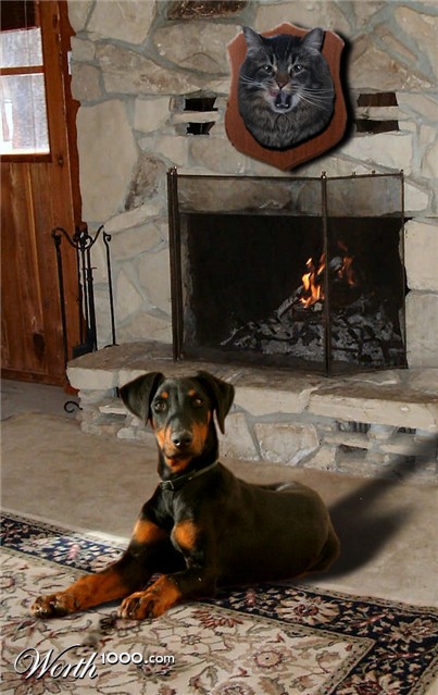 Photoshop Design by chohanic