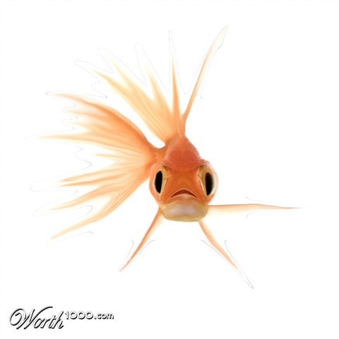 Photoshop Design by aster217