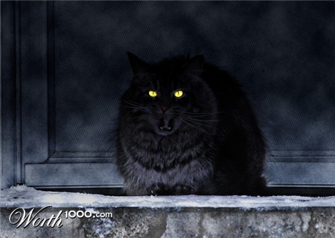 Photoshop Design by DaMasta