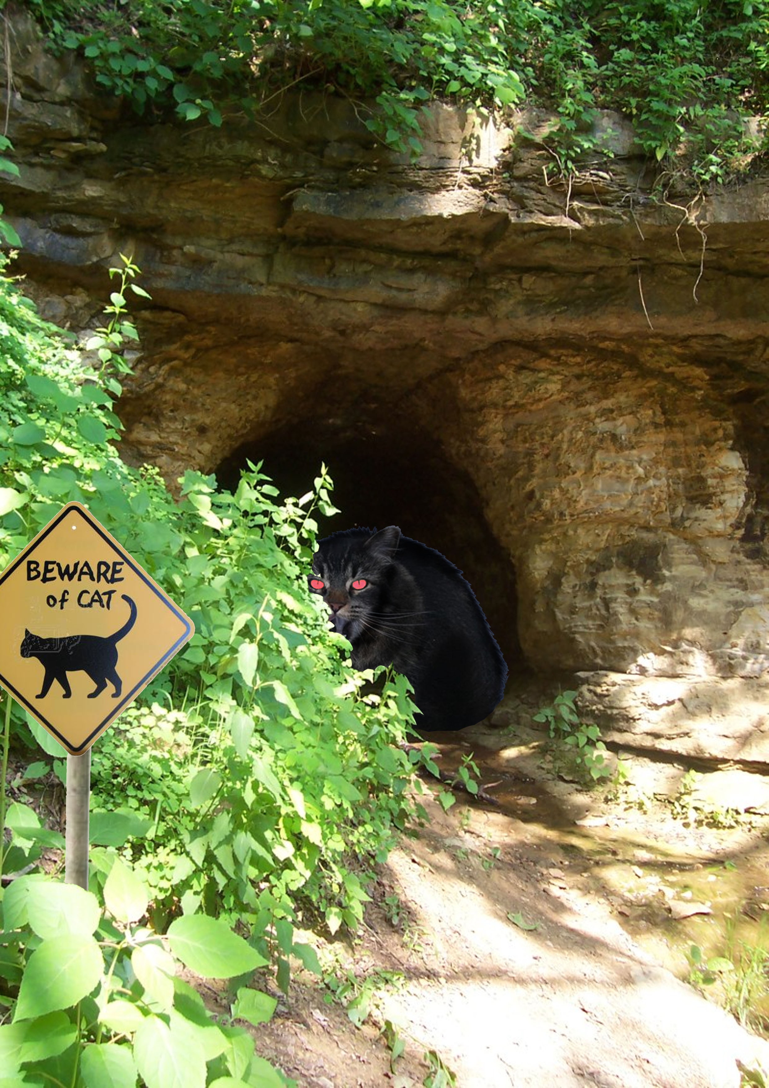 Photoshop-Design von fishy69 für DesignCrowd (Community Contests) | Design #8936605