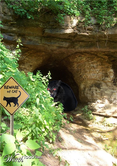 Photoshop Design by fishy69