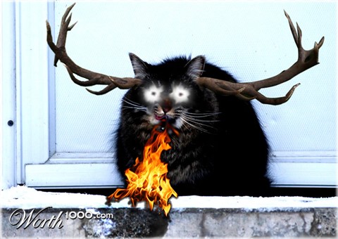 Photoshop Design by dancingbears