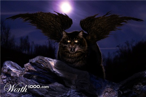 Photoshop Design by DonLad
