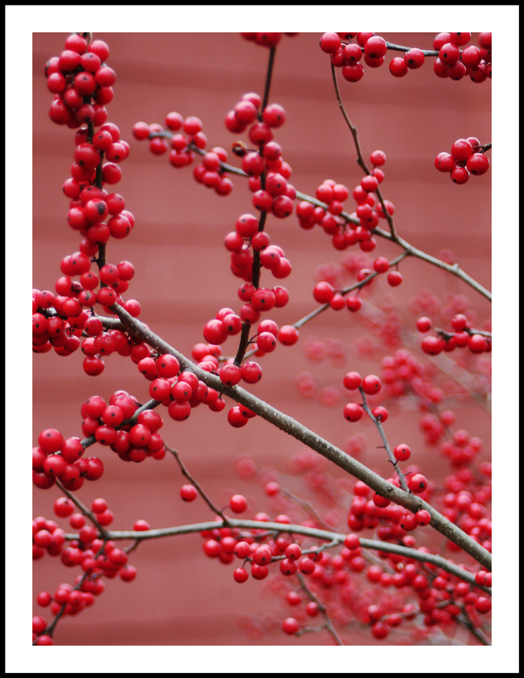 Fotografie von Limitchik für DesignCrowd (Community Contests) | Design #8936648