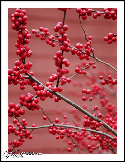 Photography by Limitchik