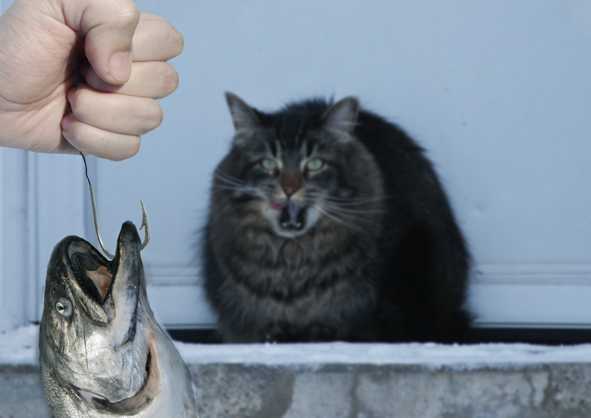 Diseño de Photoshop por error5001 para DesignCrowd (Community Contests) | Diseño #8936578